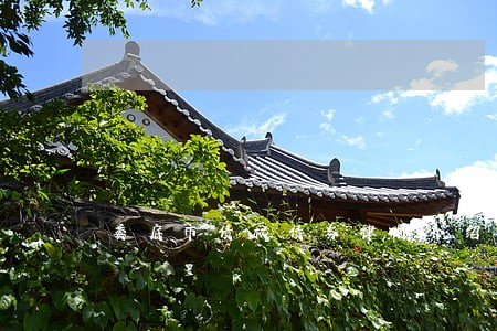 娄底市债权债务律师介绍