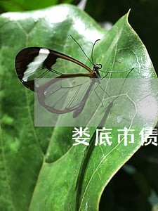 娄底市债权债务律师收费 娄底市债权债务律师收费