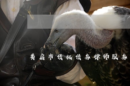 娄底市债权债务律师服务 娄底市债权债务律师服务