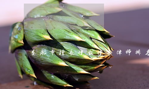 娄底市擅长债权债务律师排名