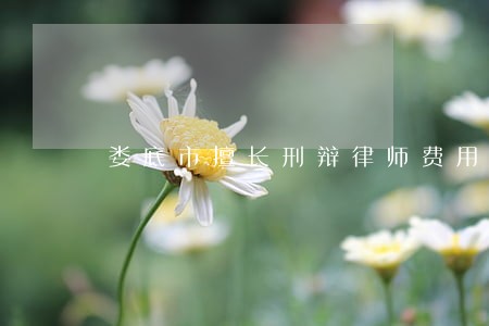 娄底市擅长刑辩律师费用 娄底市擅长刑辩律师费用