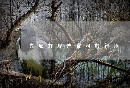 娄底打房产官司的律师