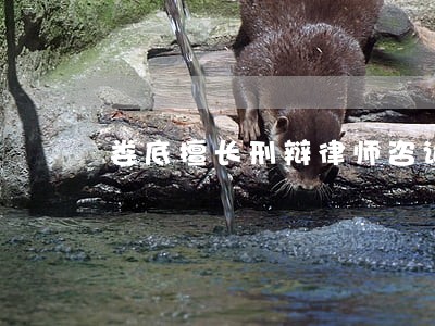 娄底擅长刑辩律师咨询电话