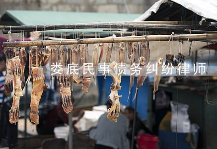 娄底民事债务纠纷律师 娄底民事债务纠纷律师