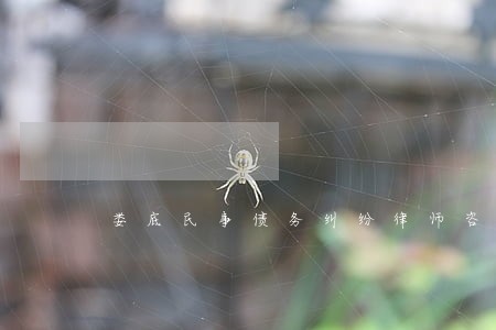 娄底民事债务纠纷律师咨询网站