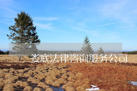 娄底法律咨询服务公司 娄底法律咨询服务公司