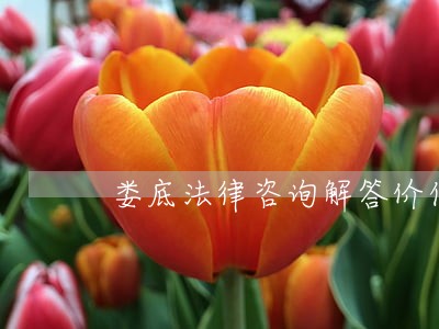 娄底法律咨询解答价位 娄底法律咨询解答价位