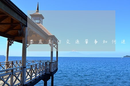 娄底直行交通肇事如何进行诉讼