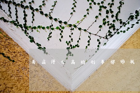 娄底评价高的刑事律师联系电话 娄底评价高的刑事律师联系电话