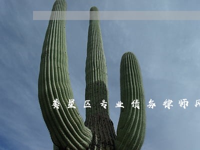 娄星区专业债务律师风险代理 娄星区专业债务律师风险代理
