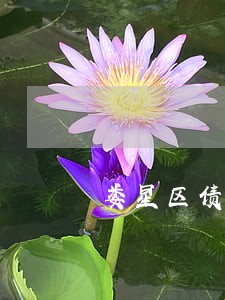 娄星区债务追回律师费用标准 娄星区债务追回律师费用标准
