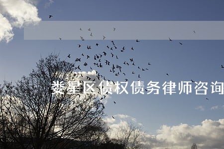 娄星区债权债务律师咨询 娄星区债权债务律师咨询