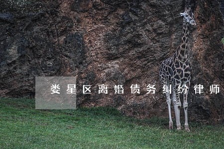 娄星区离婚债务纠纷律师事务所 娄星区离婚债务纠纷律师事务所