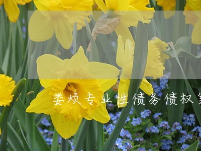 娄烦专业性债务债权案件律师 娄烦专业性债务债权案件律师