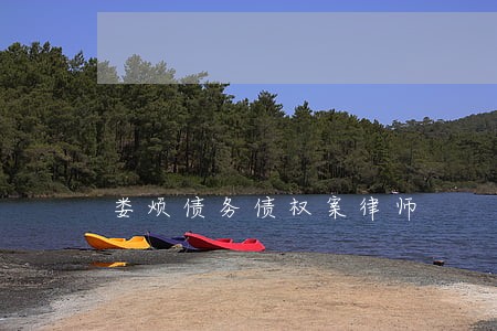 娄烦债务债权案律师 娄烦债务债权案律师