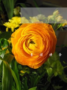 娄烦债务债权案律师代理品牌 娄烦债务债权案律师代理品牌