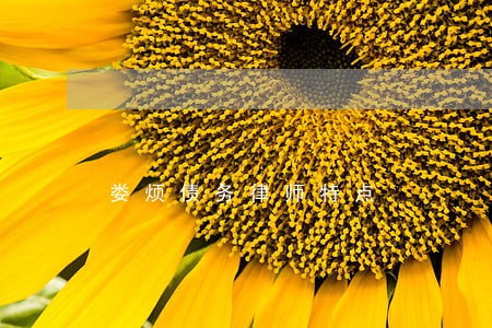娄烦债务律师特点 娄烦债务律师特点
