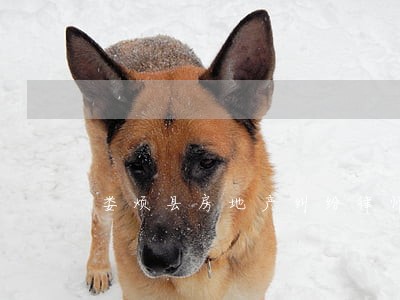 娄烦县房地产纠纷律师 娄烦县房地产纠纷律师