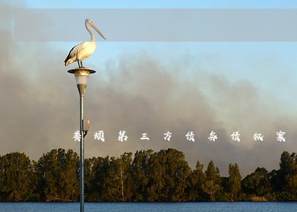 娄烦第三方债务债权案律师 娄烦第三方债务债权案律师