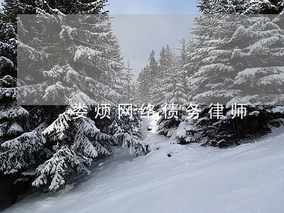 娄烦网络债务律师 娄烦网络债务律师