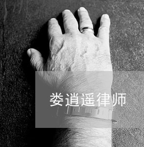 娄逍遥律师 娄逍遥律师