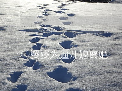 婆婆为逼儿媳离婚