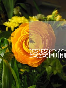 婆婆偷偷给儿媳寄离婚书 婆婆偷偷给儿媳寄离婚书