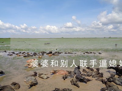 婆婆和别人联手逼媳妇离婚 婆婆和别人联手逼媳妇离婚