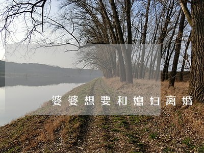 婆婆想要和媳妇离婚 婆婆想要和媳妇离婚