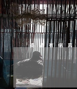 婆婆有病离婚怎么复婚 婆婆有病离婚怎么复婚
