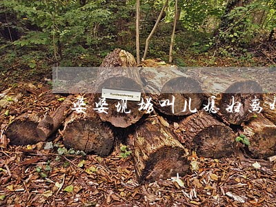 婆婆现场叫儿媳妇离婚 婆婆现场叫儿媳妇离婚