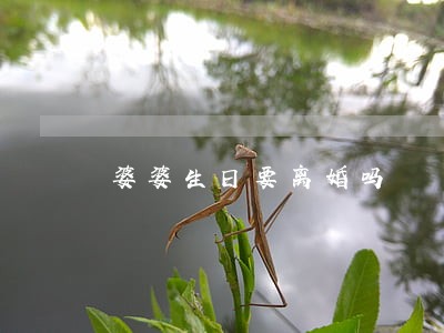 婆婆生日要离婚吗 婆婆生日要离婚吗