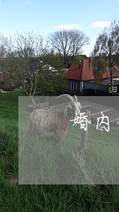 婚内一方银行信用卡逾期会冻结吗 婚内一方银行信用卡逾期会冻结吗
