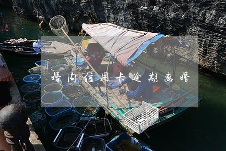 婚内信用卡逾期离婚 婚内信用卡逾期离婚