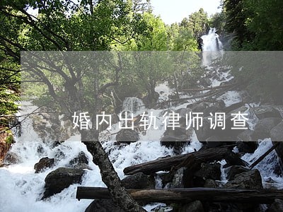 婚内出轨律师调查 婚内出轨律师调查