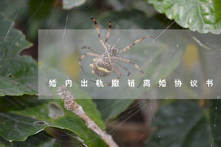 婚内出轨撤销离婚协议书 婚内出轨撤销离婚协议书