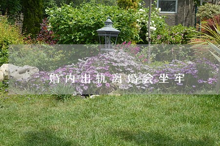 婚内出轨离婚会坐牢 婚内出轨离婚会坐牢