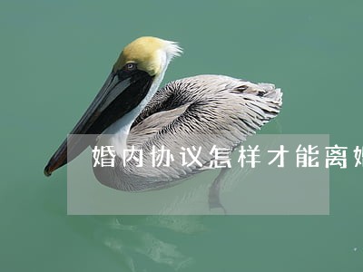 婚内协议怎样才能离婚 婚内协议怎样才能离婚