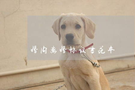 婚内离婚协议书范本 婚内离婚协议书范本