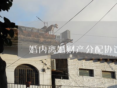 婚内离婚财产分配协议书