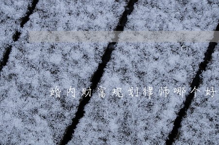 婚内财富规划律师哪个好