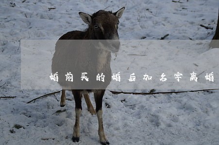 婚前买的婚后加名字离婚怎么分
