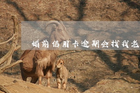 婚前信用卡逾期会找我老公吗