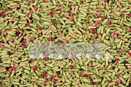 婚前信用卡逾期未还