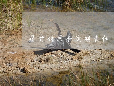 婚前信用卡逾期责任