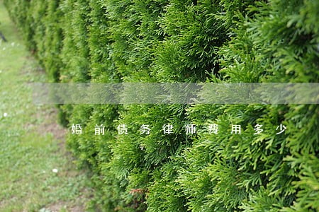 婚前债务律师费用多少 婚前债务律师费用多少