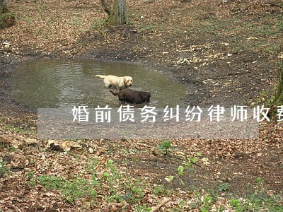 婚前债务纠纷律师收费 婚前债务纠纷律师收费