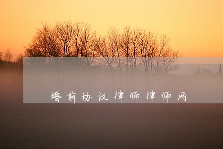 婚前协议律师律师网 婚前协议律师律师网