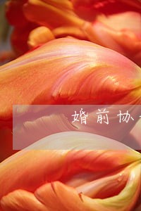 婚前协议的法律效力如何认定 婚前协议的法律效力如何认定