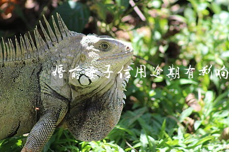 婚前妻子信用逾期有影响吗 婚前妻子信用逾期有影响吗